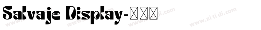 Salvaje Display字体转换